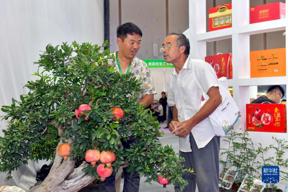 永利注册网址